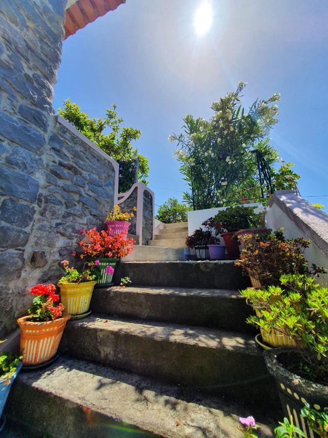 Casa Velha D Fernando E Casa Avo Augusta Hotell Ribeira Brava Exteriör bild