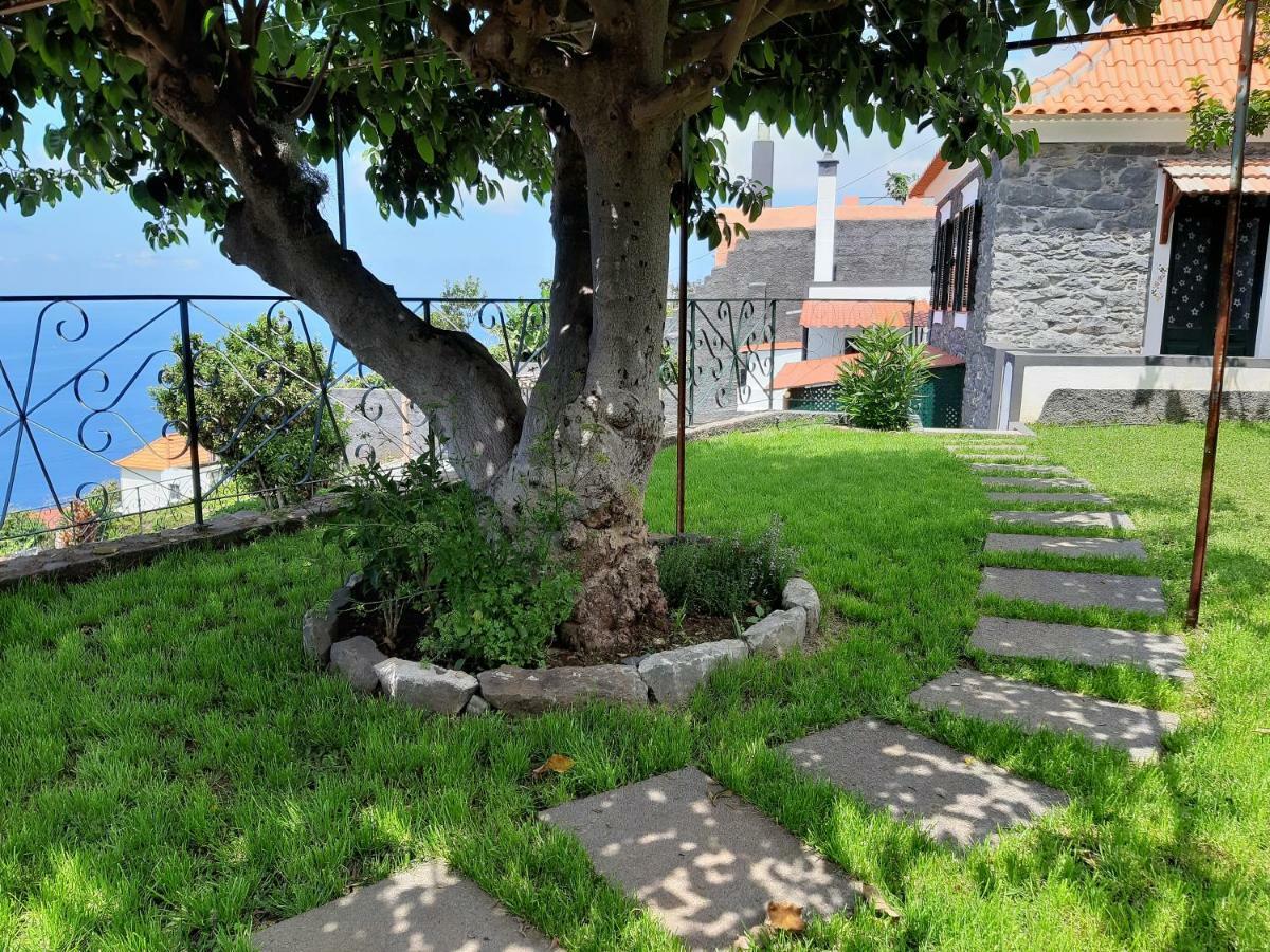 Casa Velha D Fernando E Casa Avo Augusta Hotell Ribeira Brava Exteriör bild