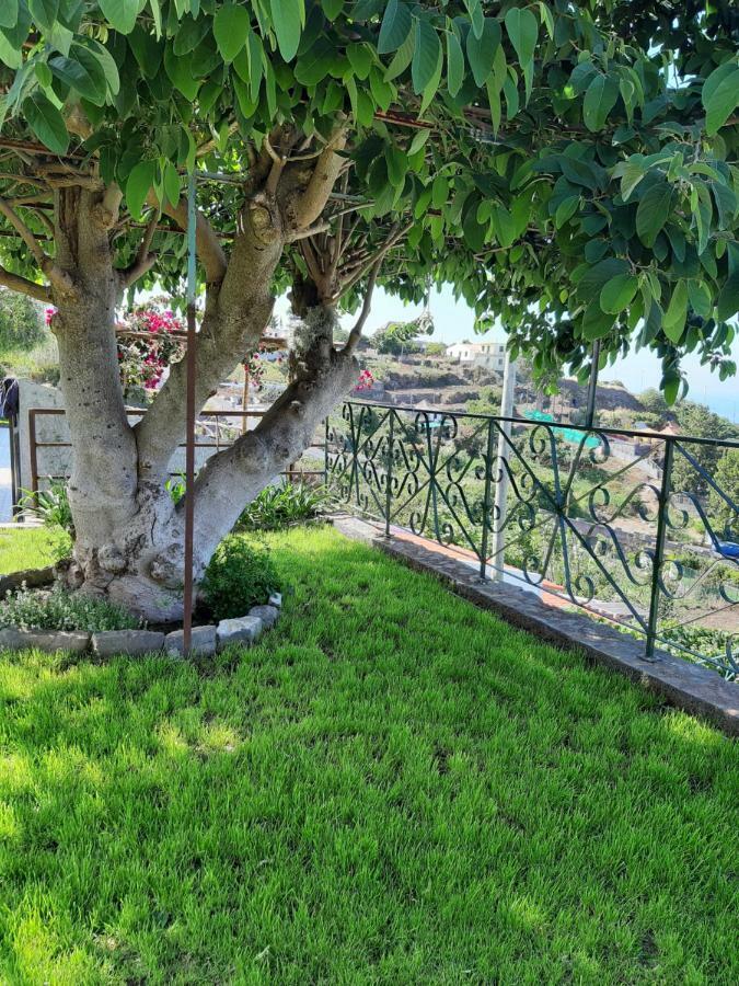 Casa Velha D Fernando E Casa Avo Augusta Hotell Ribeira Brava Exteriör bild